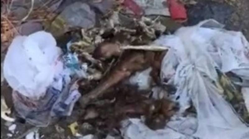 Житель города Ош жалуется на мусор на центральном рынке. Видео