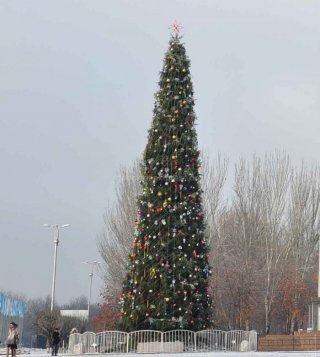 Житель Бишкека просит мэра поставить на площади красивую елку к Новому Году <b>(фото)</b>
