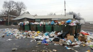 Из-за отсутствия мусорных баков и нерегулярного вывоза мусора в Свердловском районе мы живем в полной антисанитарии, - жители <b>(фото)</b>