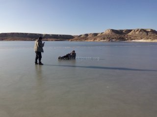 Соленое озеро замерзло так, что по нему можно ходить, - читатель <b>(фото)</b>