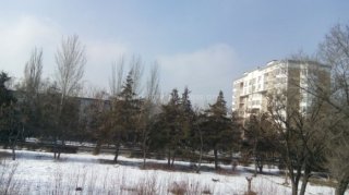 Законно ли в придорожной парковой части по ул.Каралаева в 4 мкрн спилили здоровые деревья под видом засохших? - читатель <b>(фото)</b>