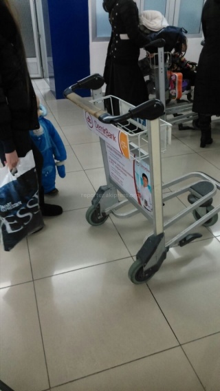 В аэропорту «Манас» грузовые тележки в плохом состоянии, - читатель <b> (фото) </b>