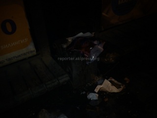 На пересечении улиц Абдрахманова и Куренкеева нет мусорных контейнеров и жители бросают мусор на улицу <b><i> (фото) </i></b>