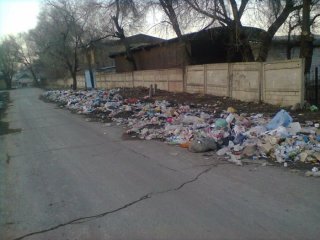 На ул. Каракумской образовалась стихийная свалка из-за отсутствия мусорных баков <b>(фото)</b>