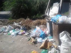 По улице Усенбаева мусор скапливается в большом количестве. Фото