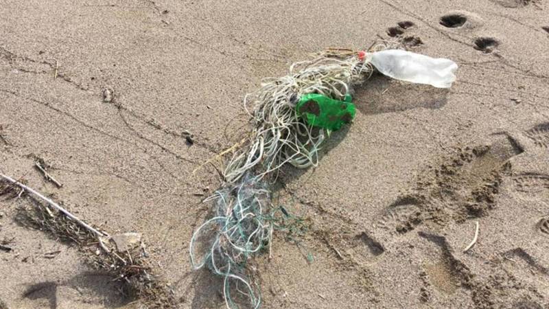 Жительница села Кызыл-Суу обнаружила на берегу Иссык-Куля самодельные сети для ловли рыбы. Фото и видео