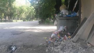На Эркиндик-Чуйкова в Бишкеке мусорные баки забиты (фото)