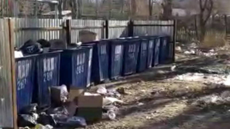 Токмокчанин Марс просит перенести мусорку от детской площадки. Видео