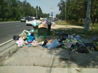 На остановке ул.Валиханова свалка. Житель просит перенести мусорные баки (фото)