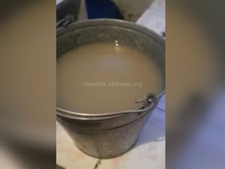 В селе Ак-Терек вынуждены пользоваться грязной водой, - жительница Иссык-Куля (видео)