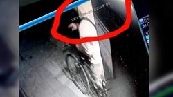 Момент кражи велосипеда в многоэтажном доме попал на видео