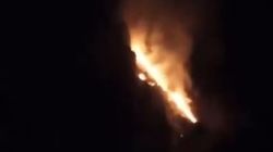 Пожар в ущелье Капчыгай. Видео