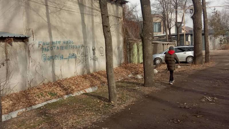 Горожанин просит убрать надписи на стенах на Медерова - Ошском переулке. Фото