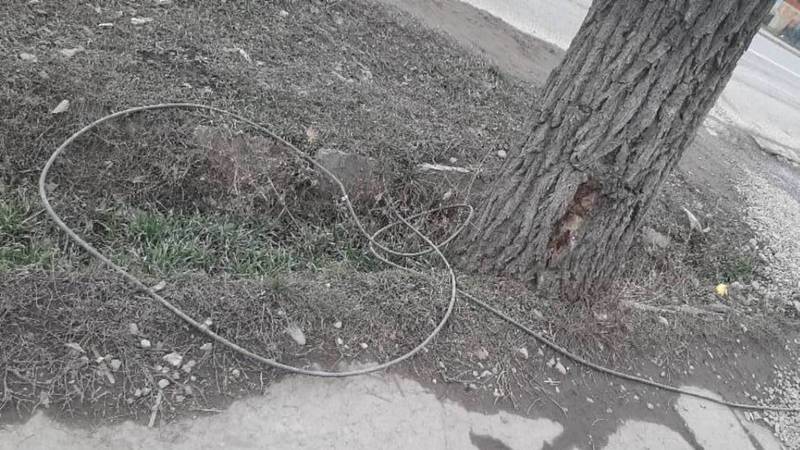 На Пишпеке на тротуаре лежит кабель. Видео и фото