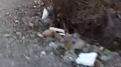 Горожанин жалуется на мусор в Востоке-5. Видео