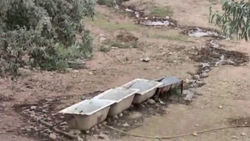 В селе Орто-Сай целый день течет вода для поилки скота. Видео