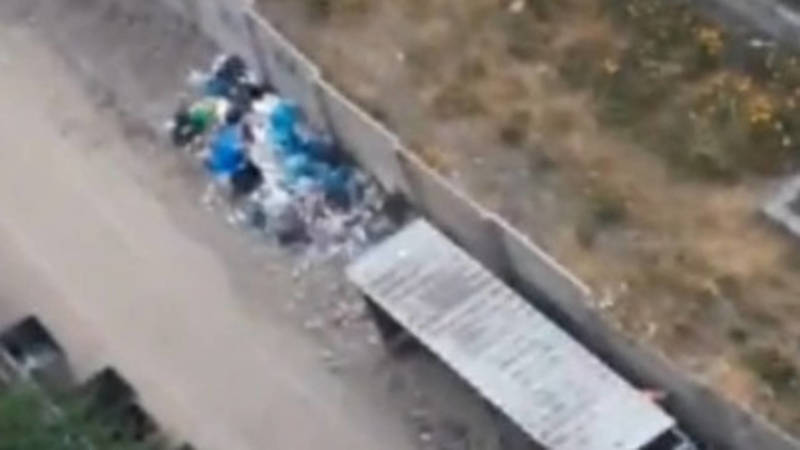 Почему у Политеха не убирают мусор возле контейнеров? Видео горожанина