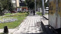 «Бишкекзеленхоз» устраняет затоп тротуара на Советской. Фото