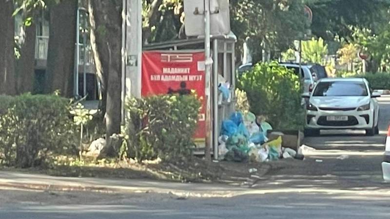 На Раззакова мусор вываливается из баков. Фото