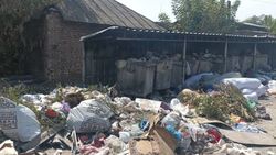 «10 дней не вывозят». Гора мусора на Куренкеева-Логвиненко. Фото