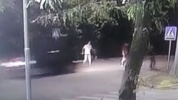 Момент наезда на пешехода со смертельным исходом попал на <b>видео</b>