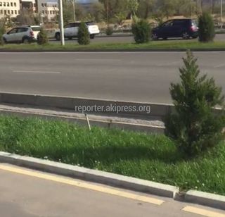 Туалет с обочины Южной магистрали убрали, - мэрия Бишкека