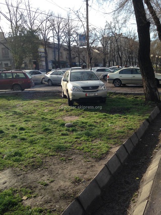 Очевидец сообщает: «Наглая парковка на газоне машины Lexus RX с госномером 5517ВС.»