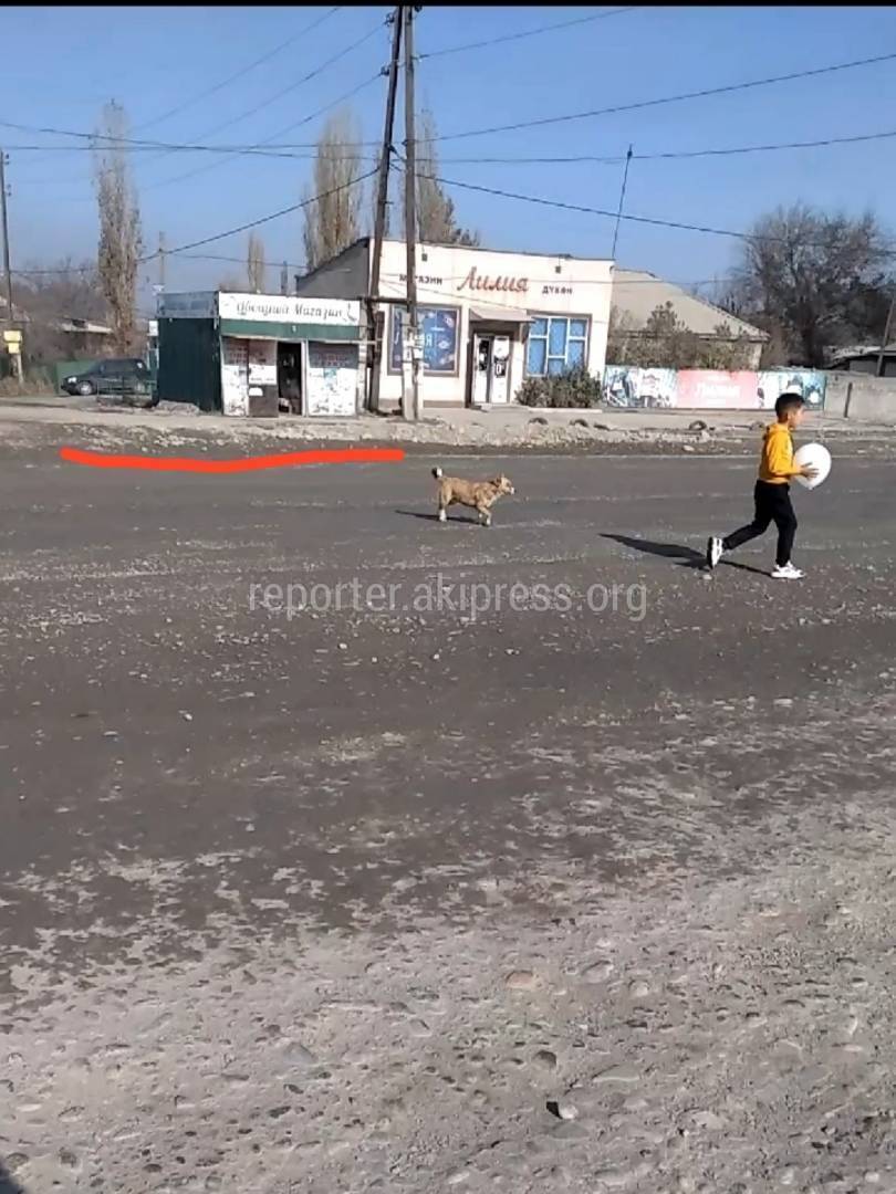 В Военно-Антоновке бетонные блоки лежат на проезжей части. Видео и фото