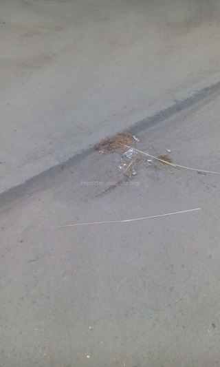 На остановке ул.Чолпон-Атинской и ул.Кольбаева кучки мусора подметаются, но не убираются, - читатель <b><i>(фото)</i></b>