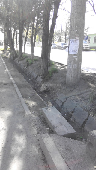 Мэрия города Бишкек отвечает на вопросы читателей по работе «Тазалыка», «Зеленстроя» и Дирекции муниципальных рынков, парковок и стоянок