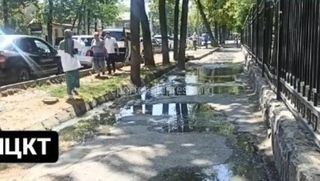 «Бишкекзеленхоз» устранил затоп тротуара на Логвиненко