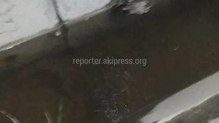 «Бишкекводоканал» закрыт отсекающий вентиль до устранения утечки воды на Ахунбаева, - мэрия