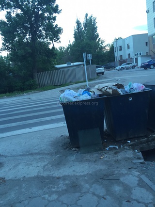 На пересечении Боконбаева и Уметалиева мусорные контейнеры расположены почти на пешеходном переходе, - читатель <b><i>(фото)</i></b>