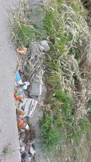 Читатель недоволен, что на ряде улиц столицы не вывозится мусор <b><i>(фото)</i></b>