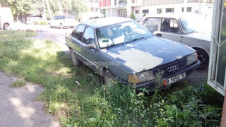 21 мая читатель написал: «Так часто паркуются работники «Зеленстроя» в зеленых насаждениях, и так каждый день. Ул. Ташкентская, 17 (на заднем плане имеется вывеска).»