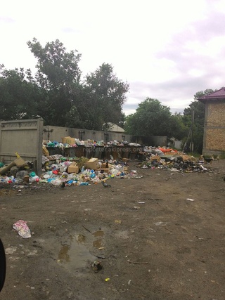 Читатель жалуется, что мусор в районе Институту земледелия не убирают.