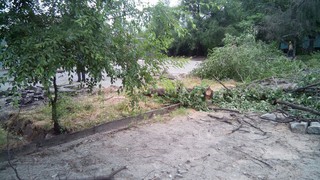 На участке Чуй-Суюмбаева, брусчатка и асфальт разломаны, бордюры повалены, деревья и ветки валяются, когда городские власти наведут порядок? - житель <b><i>(фото)</i></b>