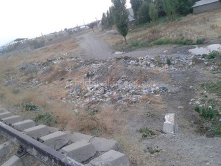 В селе Сокулук по улице Советская не забирают мусор, - житель<b><i>(фото)</i></b>
