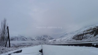 Снег в Боомском ущелье (фото)