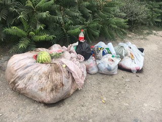 Читатель жалуется, что уже неделю с ул.Огомбаева в мкр Учкун не вывозится мусор (фото)