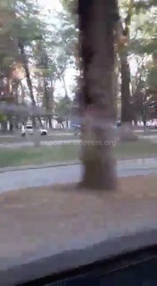 Автомашина ехала по тротуару бульвара Молодой гвардии <i>(видео)</i>