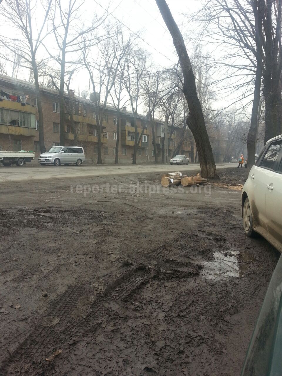 Был ли акт на снос дерева на перекрестке Ганди-Ленинградской или  посторонние спилили дерево для дров? - читатель (фото, видео)