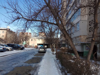 «Зеленстрой» еще не спилил дерево у дома №94/2 на ул.Ахунбаева, которое обещал убрать 3 недели назад, - читатель (фото)