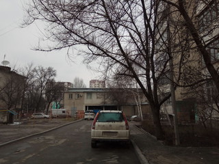 Жители дома по ул.Ахунбаева просят убрать аварийные деревья