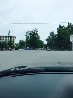 На перекрестке Ибраимова-Жумабека с восточной стороны ветки дерева полностью закрыли светофор, - бишкекчанин (фото)