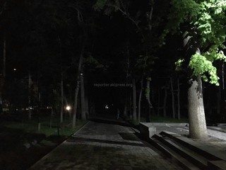 На участке бульвара Эркиндик в Бишкеке ночью не горят фонари, - читатель (фото)
