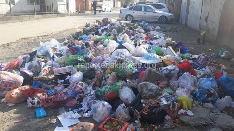 В Оше на улице Карасуйской не вывозят мусор