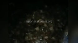 Калыс-Ордо конушунда каналга таштанды төгүп жаткан адамды жергиликтүү жашоочулар кармашты. Видео