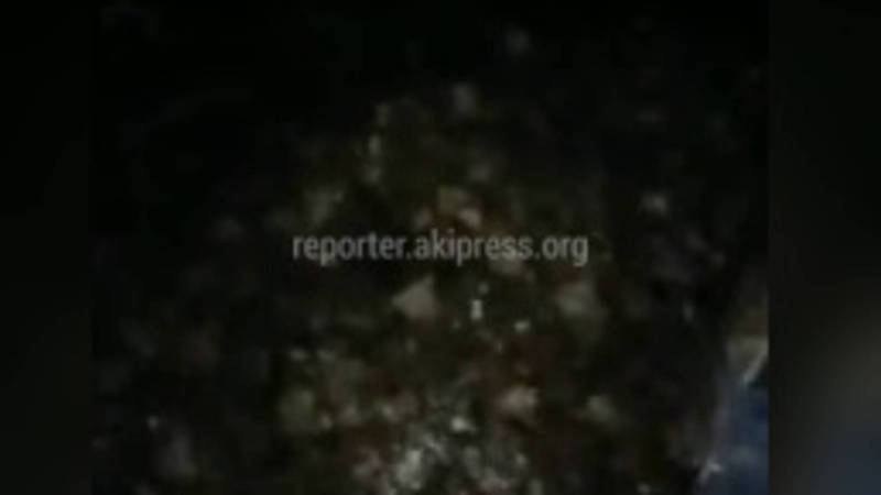Калыс-Ордо конушунда каналга таштанды төгүп жаткан адамды жергиликтүү жашоочулар кармашты. Видео