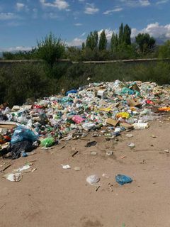 В селе Бостери по дороге, ведущей на пляж бывшего пансионата «Достук», разбросан мусор, - читатель (фото)
